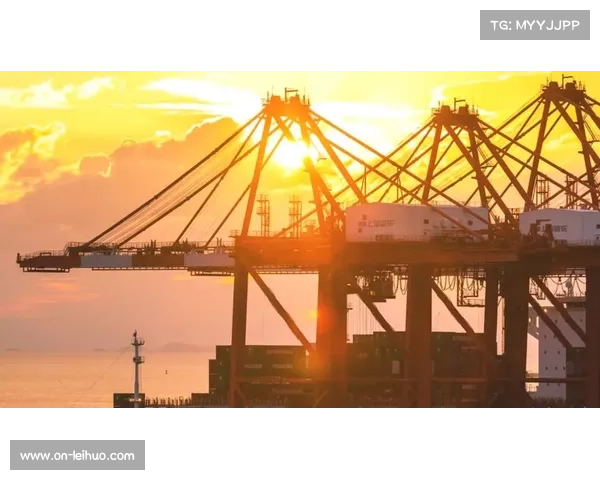 马赛俱乐部深厚传统与广泛粉丝基础成就辉煌历史